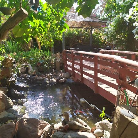 Lotus Turtle Garden Eilat Διαμέρισμα Εξωτερικό φωτογραφία