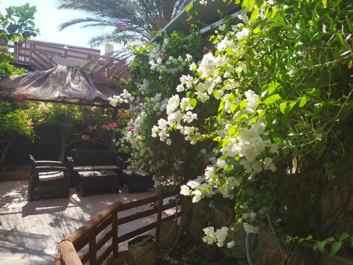 Lotus Turtle Garden Eilat Διαμέρισμα Εξωτερικό φωτογραφία