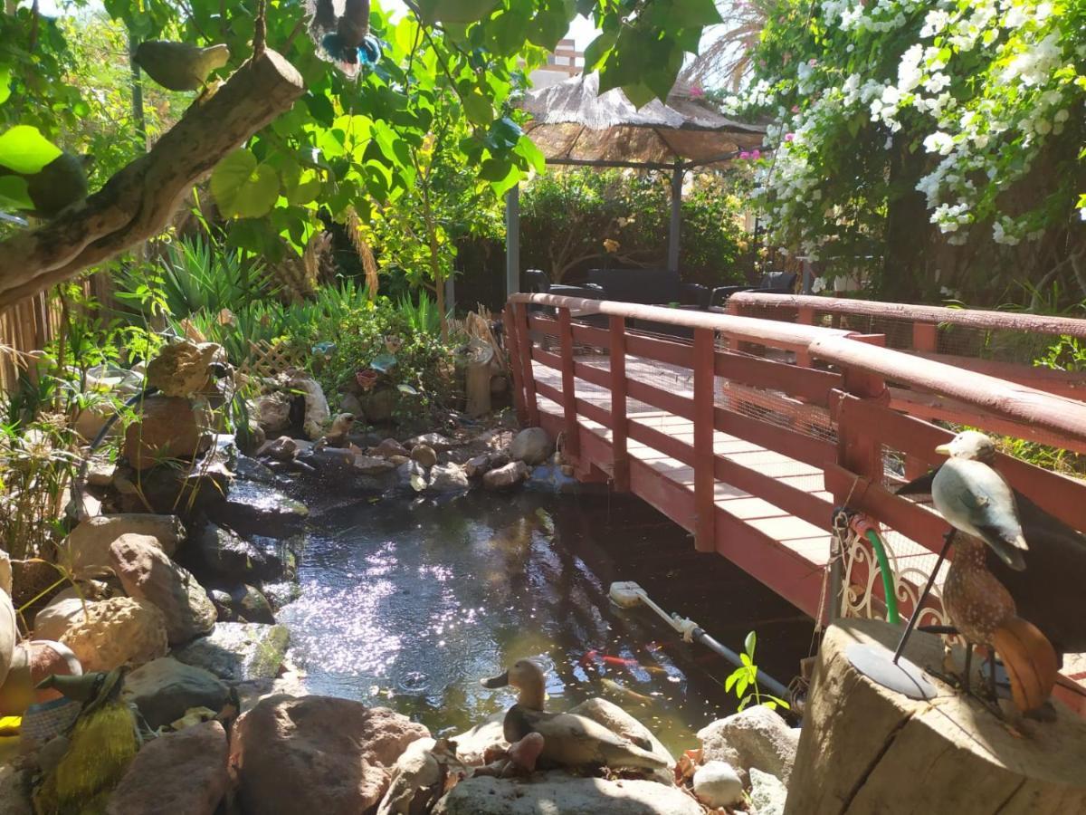 Lotus Turtle Garden Eilat Διαμέρισμα Εξωτερικό φωτογραφία