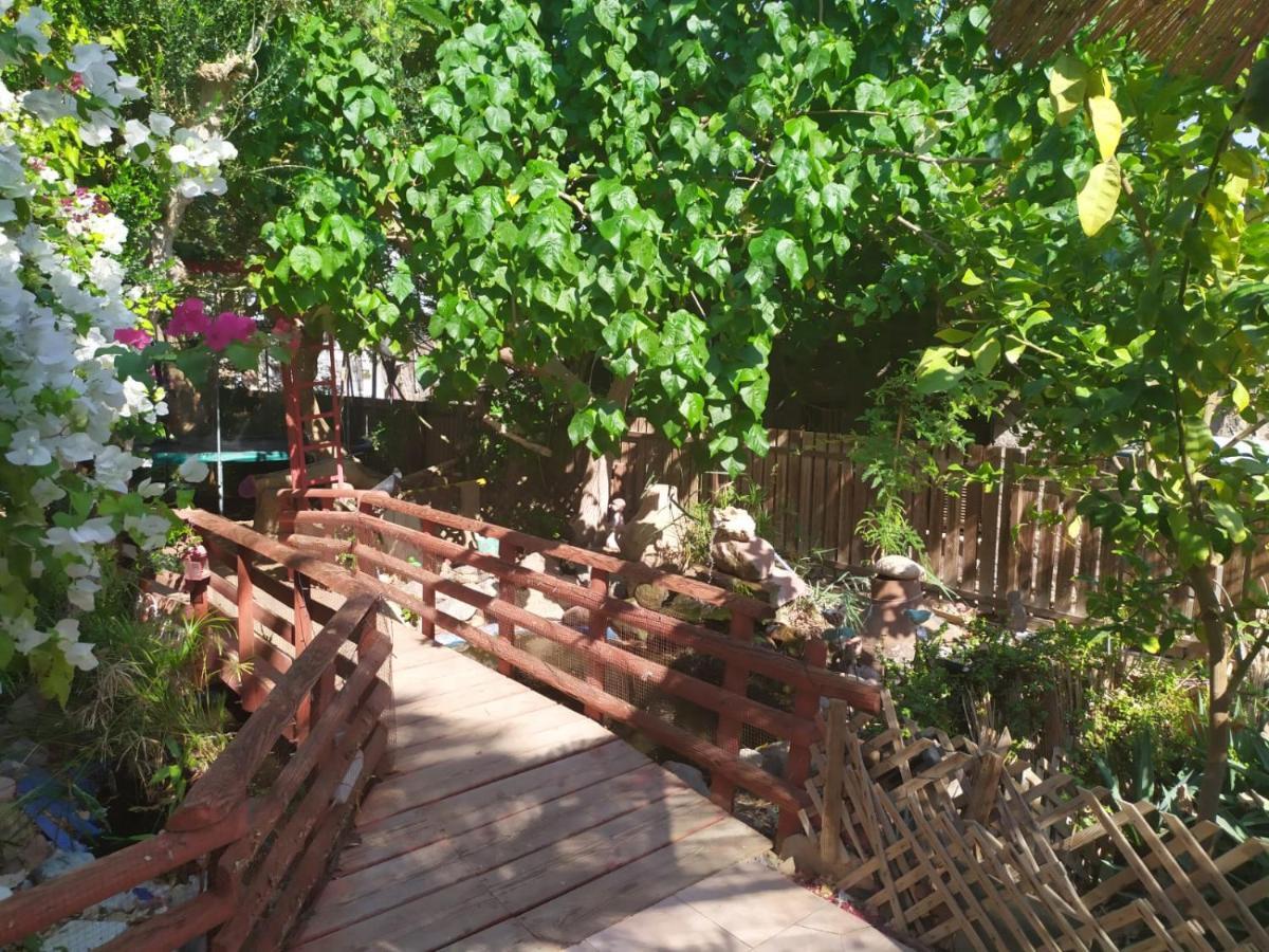 Lotus Turtle Garden Eilat Διαμέρισμα Εξωτερικό φωτογραφία