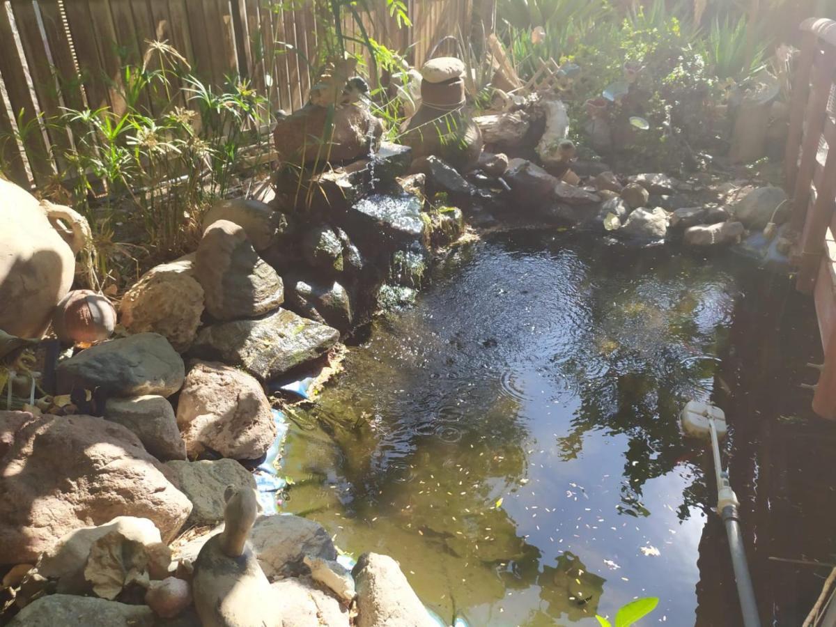 Lotus Turtle Garden Eilat Διαμέρισμα Εξωτερικό φωτογραφία