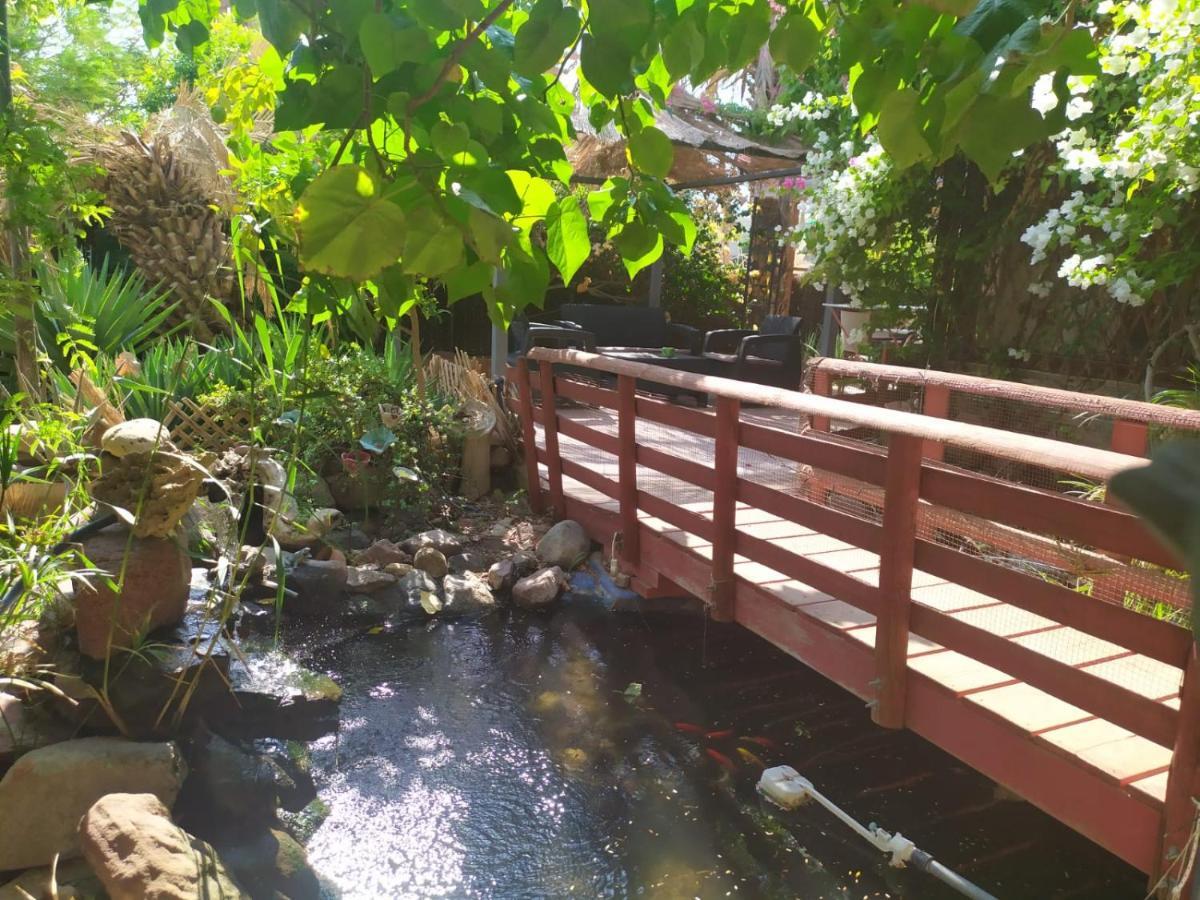 Lotus Turtle Garden Eilat Διαμέρισμα Εξωτερικό φωτογραφία